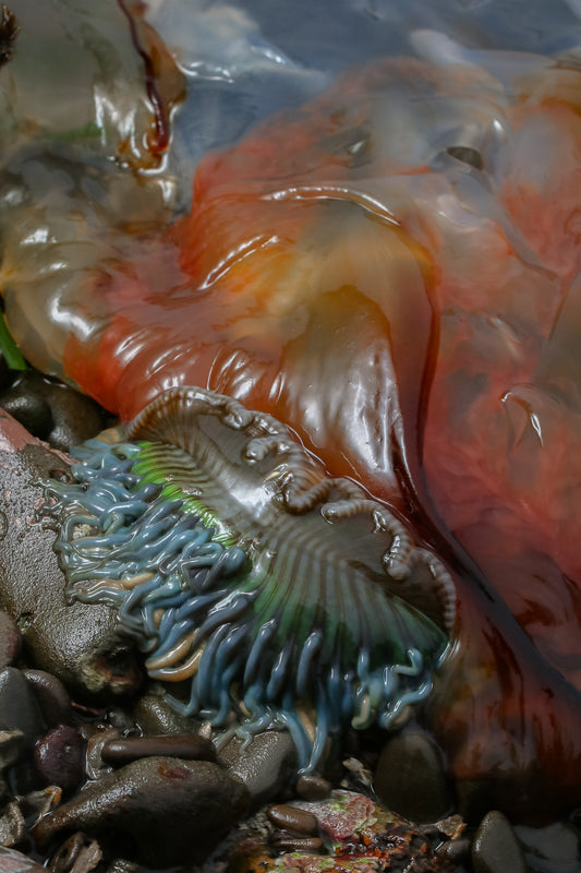 not because you'd like to